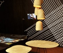 Home_Ds_centro-dis-oax_8