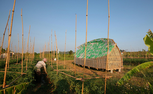 Cuerpo-Casa-sustentable-Vietnam-1