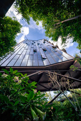 Cuerpo-Torre-41_13