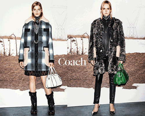 Coach-GIF