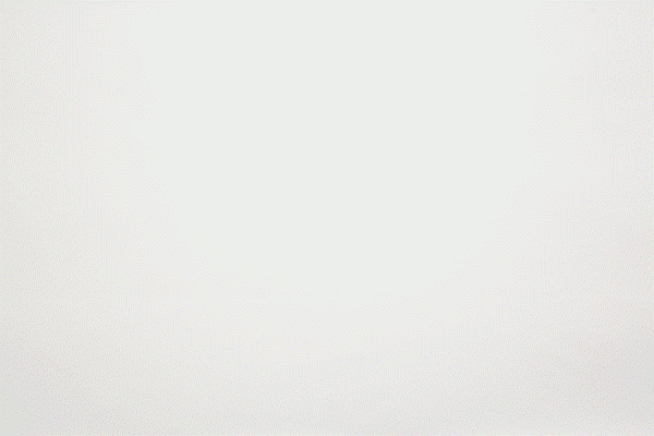 collection-ss15-01