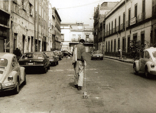 Francis Alÿs, The Collector