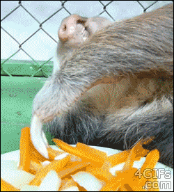 11_Comer