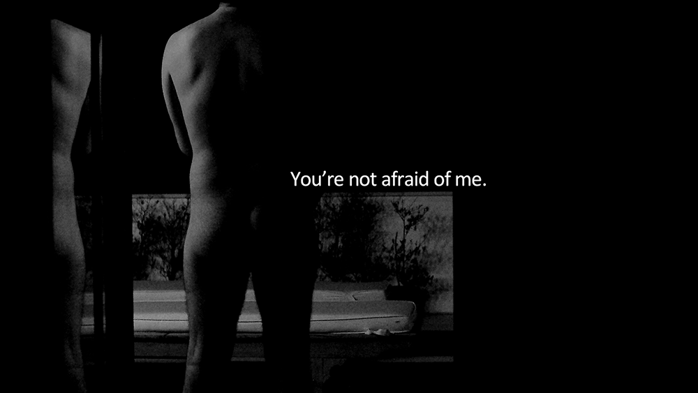 Roy Dib. A spectacle of privacy (2014). Cortesía de Videobrasil