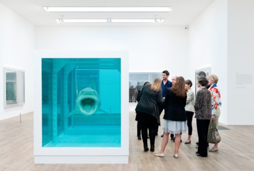 CURADOR-patrons_hirst_conservation_tour_03_0