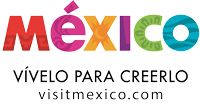 logo-Vívelo-para-creerlo-(blanco)
