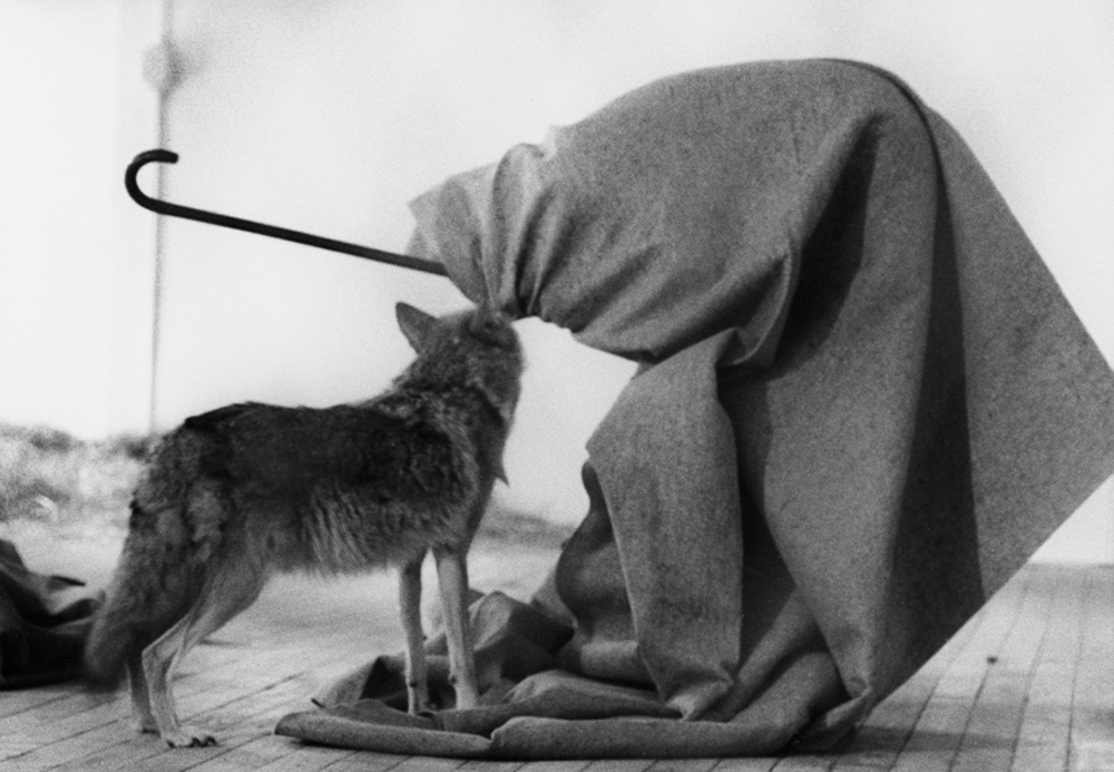Joseph Beuys, I like America and America likes me (1974)