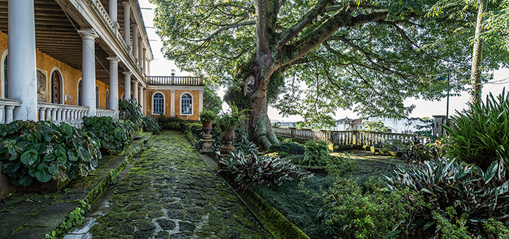 Galería en la selva. Espacios de arte independientes.