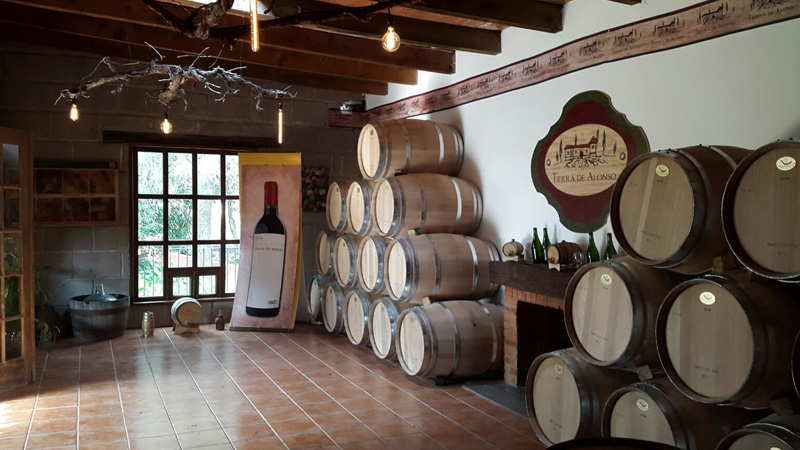 ruta de vino y queso tequisquiapan