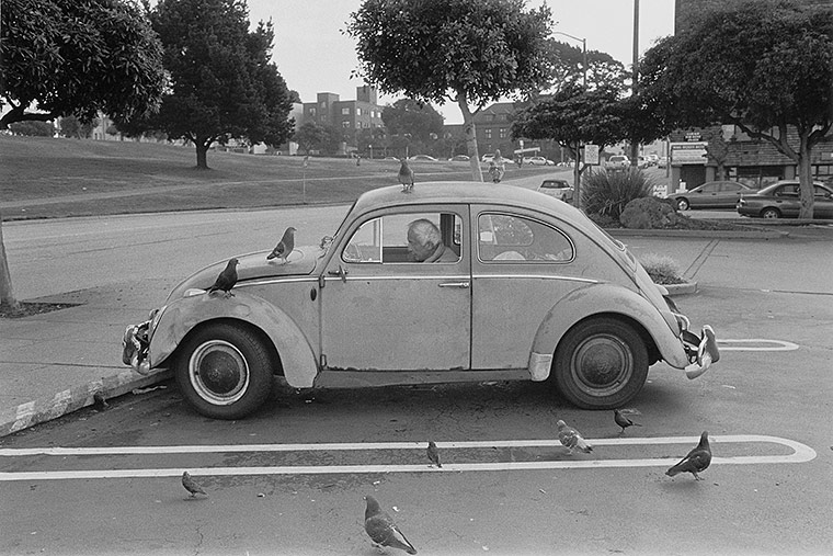 Palomas sobre un automóvil. Peter Kayafas. 