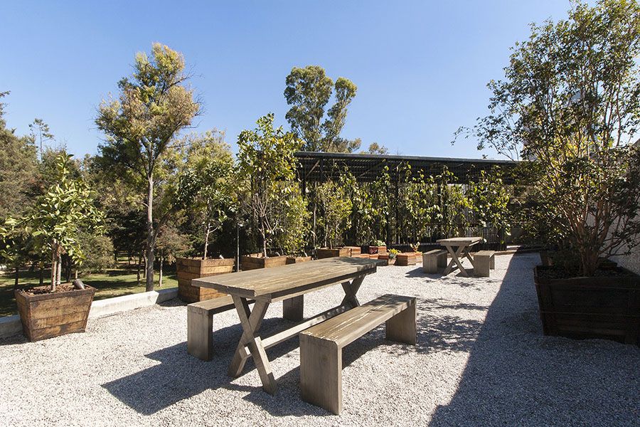 Terraza de un museo de arte. Arquitectos paisajistas. 